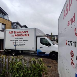 Moving With Pets