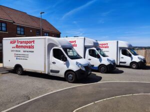 best removals company