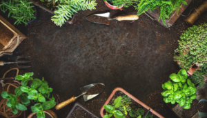 How to declutter your garden